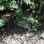 Ein Becher liegt mit einem Stein beschwert unter einem Strauch Ein Becher liegt mit einem Stein beschwert unter einem Strauch